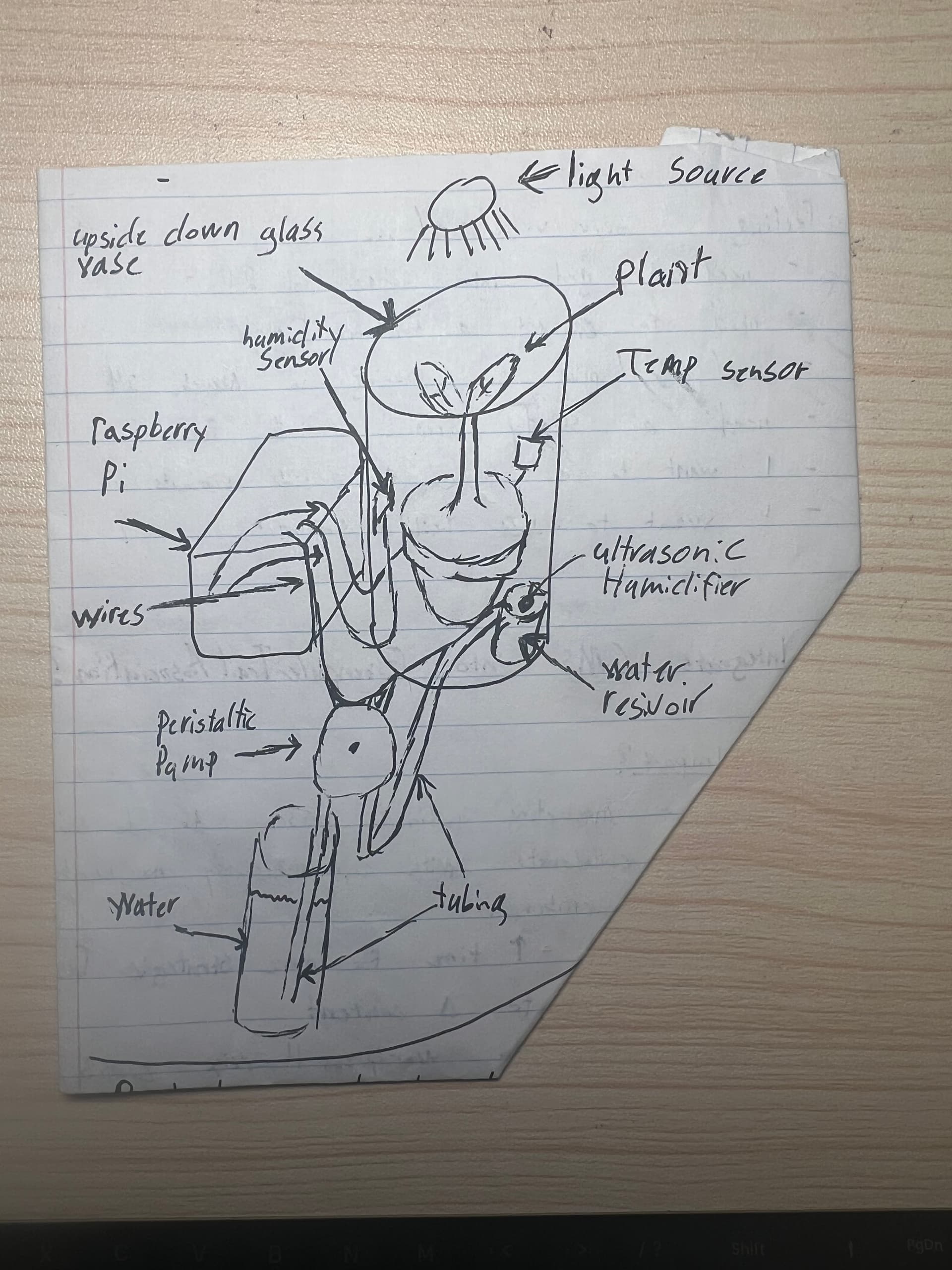 Initial rough sketch of my pi garden